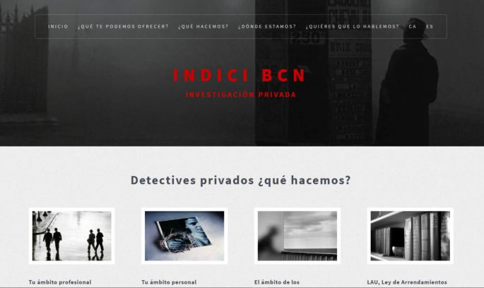 Indici bcn, detectius privats 1
